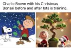 Charlie Brown.jpg