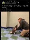 weighing penguins.JPG