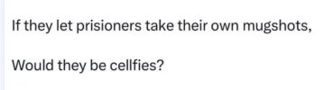 celfies.JPG