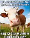 happy cow.JPG