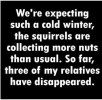 squirrels and nuts.JPG