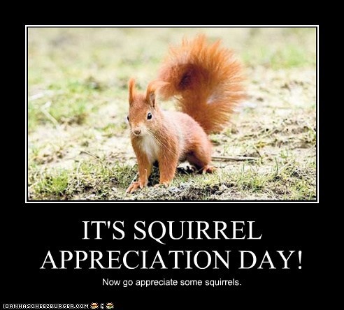 squirrel-1.jpg