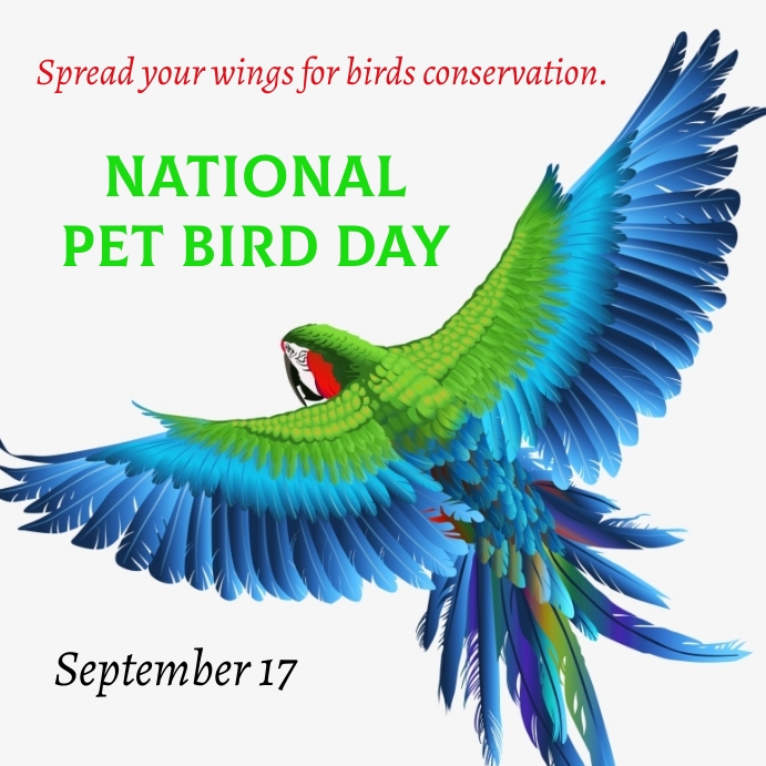 national-pet-bird-day-design-template-4dcc9636fa3d0444193035a16295cf1f_screen.jpg