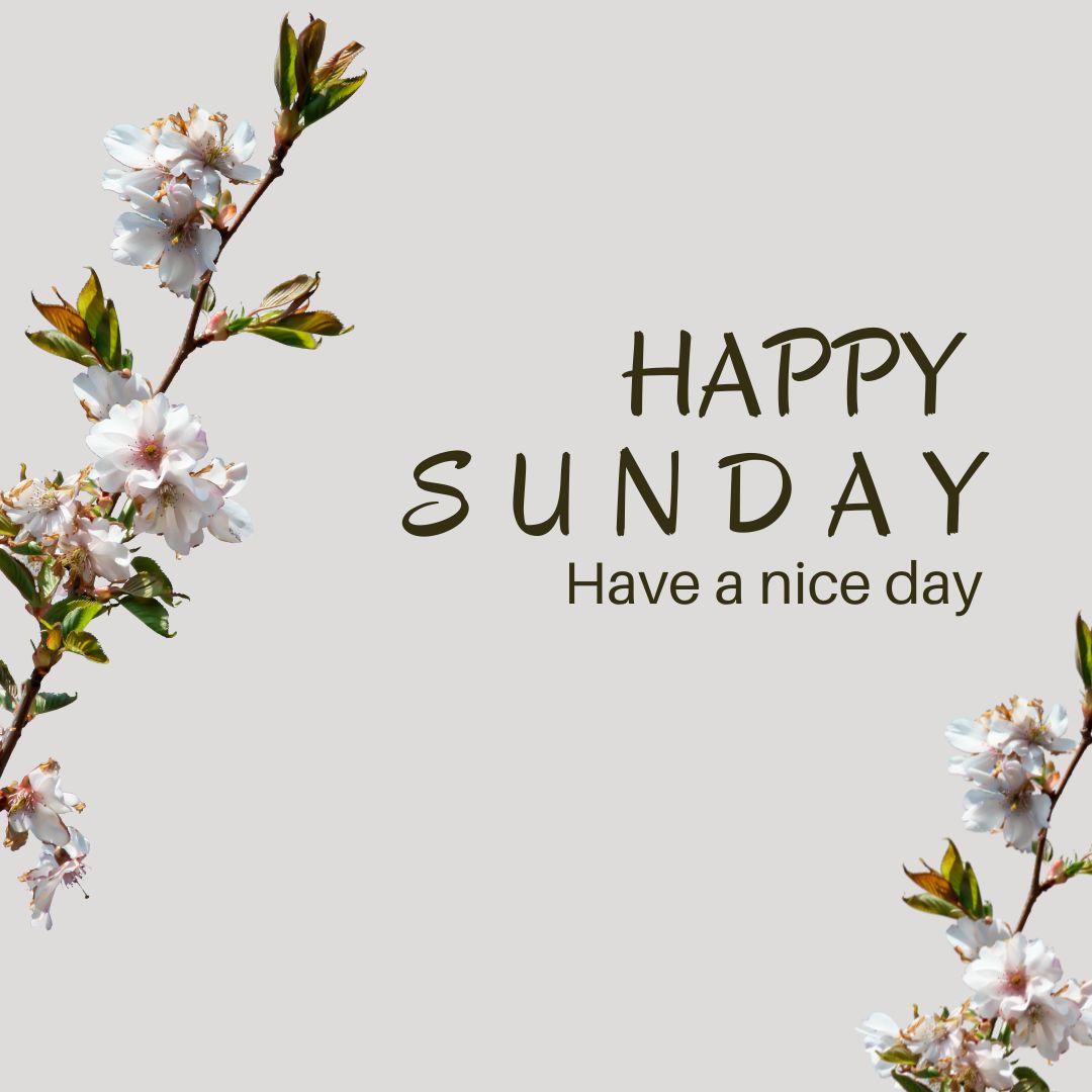 Happy-Sunday-2.jpg