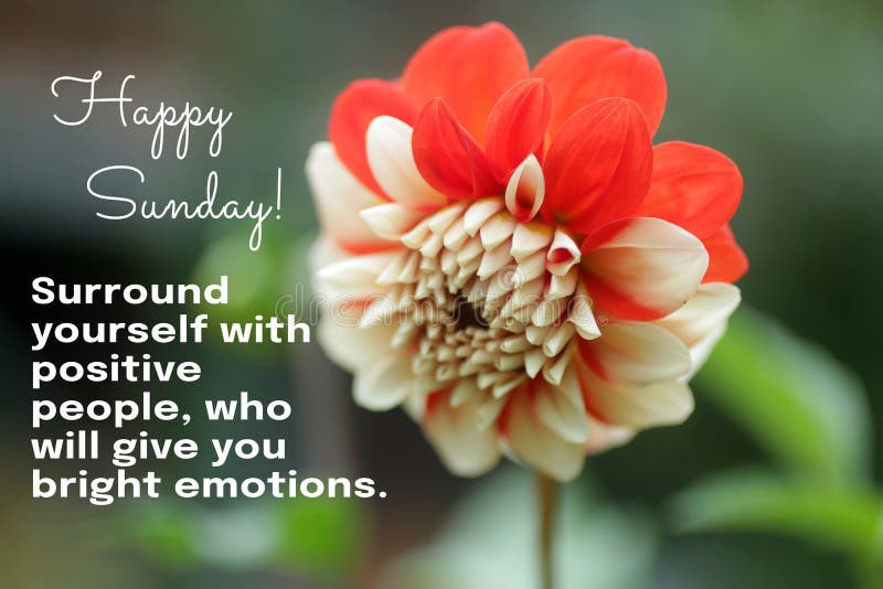 happy-sunday-surround-yourself-positive-people-who-will-give-you-bright-emotions-sunday-greeting-inspirational-213525045.jpg